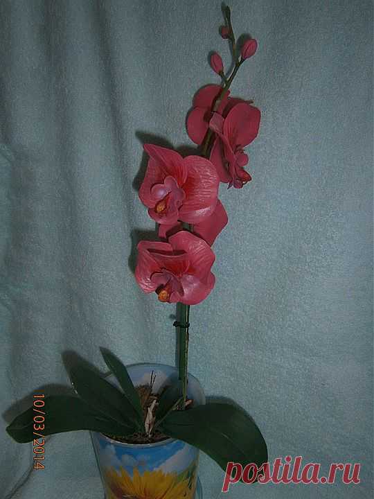 И снова Орхидея фаленопсис из холодного фарфора | РУКОДЕЛИЕ