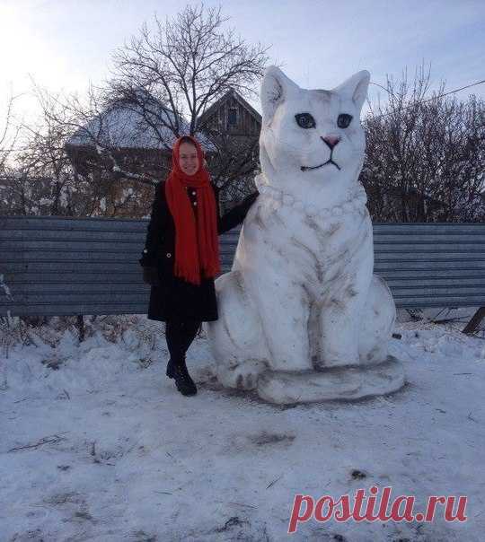 Снежный котик 😺