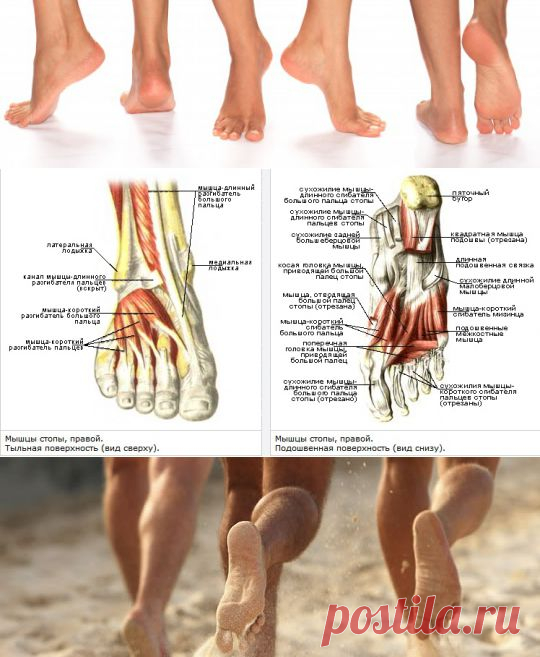 Как укрепить стопы