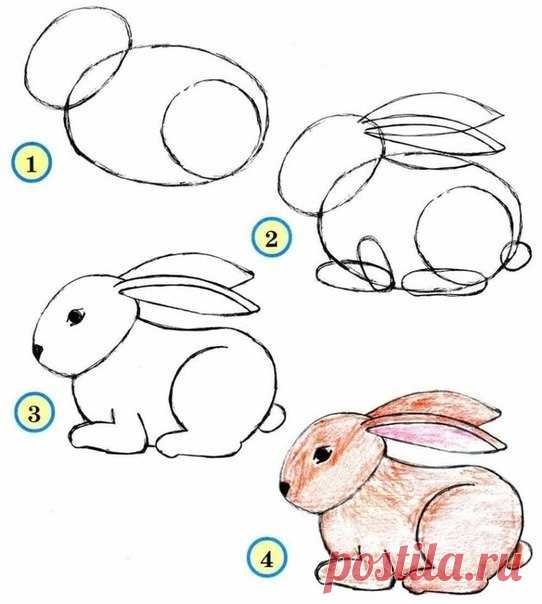 Как нарисовать кролика - Поделки с детьми | Деткиподелки