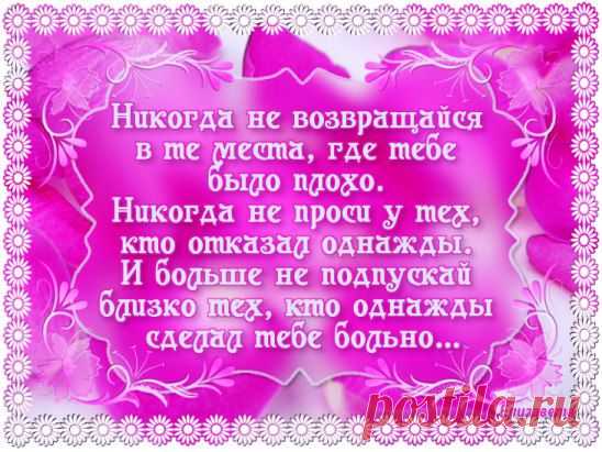 Если тебя оскорбляют, никогда не отвечай им в ответ. Ведь если на тебя лает собака... ты же не становишься на четвереньки и не лаешь ей в ответ.