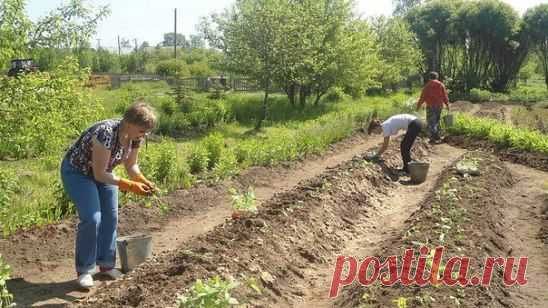 (97) Одноклассники