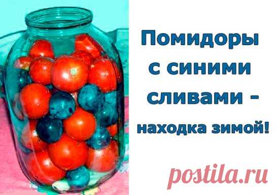 Помидоры с синими сливами - находка зимой. 
Давно пробовал такие помидоры. Взял даже рецептик. Но все время как - то было не этого!
А время сейчас именно то, когда помидоры и сливы ломятся на прилавках!
В помидорах, консервированных с синими сливами, получается весьма приятный маринад, вкусные помидоры с нежным ароматом слив.
Рассол настолько вкусный, малосоленый, что его можно пить вместо компота. Даже нарезанные кусочки моркови съедались с большим аппетитом.
ИНГРЕДИЕНТЫ
...