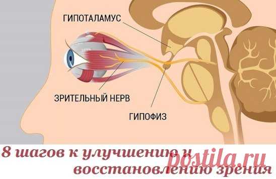 8 шагов к улучшению и восстановлению зрения. Работает, даже если ты носишь очки!