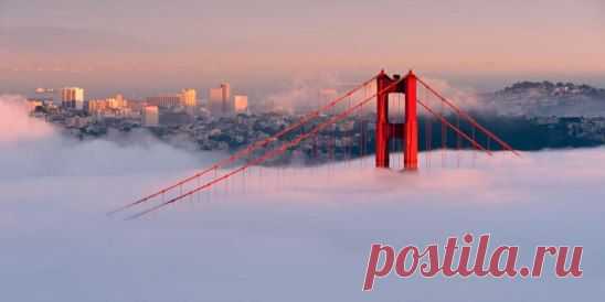 Туман окутывает часть моста «Золотые Ворота» в Сан-Франциско