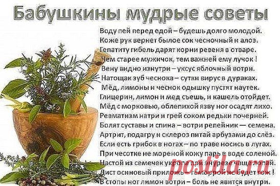 бабушкины мудрые советы