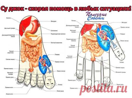 (60) Одноклассники