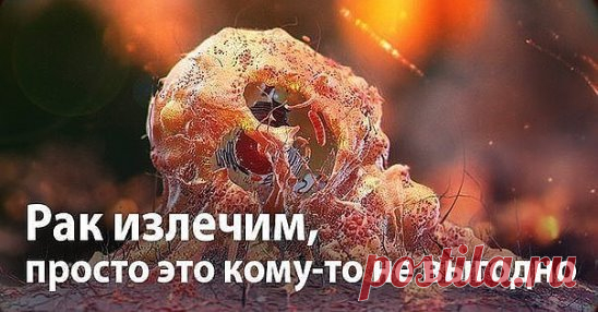 РАК – ЭТО ГРИБКОВОЕ ЗАБОЛЕВАНИЕ…
Рак – грибковая инфекция. Очень похоже на то, что медицинская мафия использует слово «рак», как обманку для последующего массового убийства людей с помощью радио- и химиотерапии. Процедуры эти очень дорогие, но работают хорошо – убивают абсолютно всех. 
Предлагаем вашему вниманию перевод статьи Дэвида Айка, оригинал которой на английском языке вы можете легко найти в интернете. 
Цифры, конечно, впечатляющие. Восемь миллионов людей умирает ежегодно от рака во в