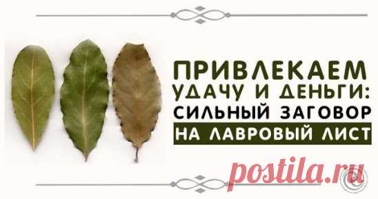 ПРИВЛЕКАЕМ УДАЧУ И ДЕНЬГИ: 
СИЛЬНЫЙ ЗАГОВОР НА ЛАВРОВЫЙ ЛИСТ
Лавр считается растением, обладающим магическими свойствами. Его силу используют для привлечения здоровья, удачи и денежного благополучия.
Многие растения обладают удивительной силой. Лавр не является исключением. В древности с помощью его листьев привлекали удачу. Сейчас Лавр используют для улучшения вкусовых качеств блюд, не подозревая, какая сила таится в этом невзрачном на первый взгляд растении. Каждый человек может привлечь