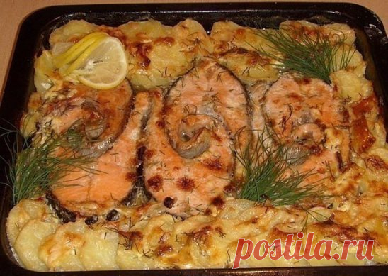 Запекаем РЫБУ - 6 рецептов!
1. Обалденная вкусная запеканка картофельная с рыбкой
Получается изумительная хрустящая сырная корочка! И рыбка, и картошка в сливках со специями приобретают нежный пикантный вкус! Быстро, легко и вкусно! Рецепт для уютного семейного ужина, все будут довольны и сыты.
Ингредиенты:
- 5-6 картофеля
- 500 г рыбы
- 2 помидора
- 1 большая луковица
- сыр
- зелень
- сливки
Приготовление:
Многие соблюдают пост, поэтому сливки можно заменить рыбным бульоном. И тогда верхний сло