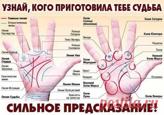 Оказывается линии на руке, могут много рассказать о ваших отношениях! Узнай, насколько вы как пара подходите другу-другу и какое у вас будущее. Если линия…Продолжение - ok.ru/kopilkasc