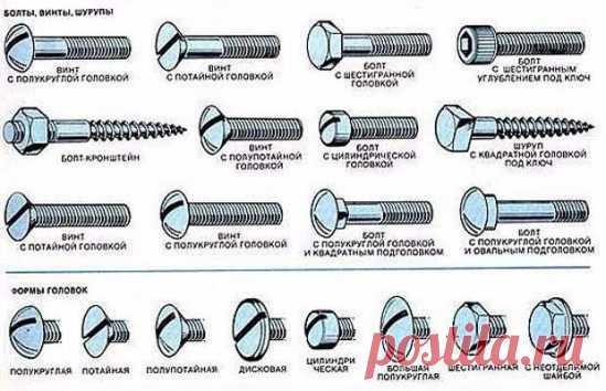 Называй правильно!