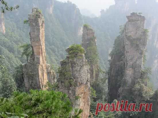 Tianzi - Изображение Zhangjiajie National Forest Park, Чжанцзяцзе - TripAdvisor