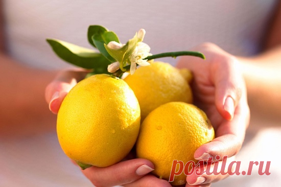 Выжать лимон «по полной» — Полезные советы