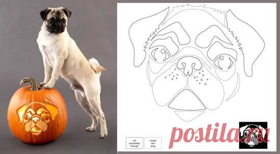 22 Downloadable Dog Breed Pumpkin Stencils