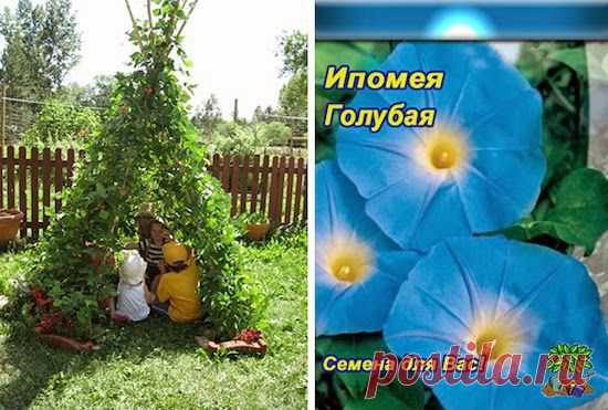 Великолепные идеи для детей на дачном участке. - Babyblog.ru
