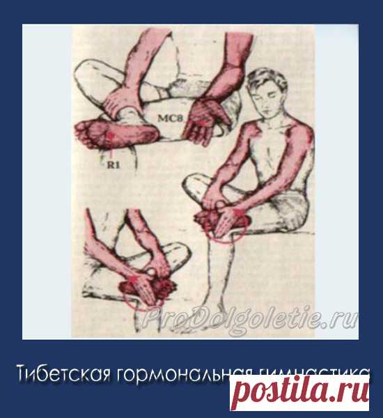 Тибетская гормональная гимнастика.