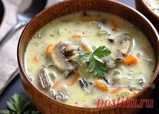 Блюдо ресторанного уровня: Сливочный суп с рисом и грибами