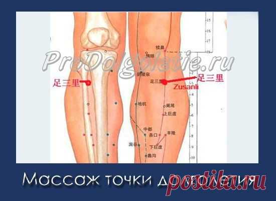 МАССАЖ ТОЧКИ ДОЛГОЛЕТИЯ - МАССАЖ ТОЧКИ ЛЕЧЕНИЯ СТА БОЛЕЗНЕЙ