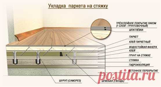 Технология укладки паркетной доски | СТРОИТЕЛЬ | Яндекс Дзен