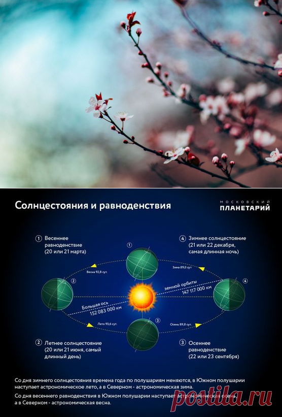 Когда весеннее солнцестояние в 2024. День весеннего равнодейс. Равноденствие и солнцестояние. Весенние равноденствие солнцестояние. Зимнее солнцестояние Весеннее равноденствие.