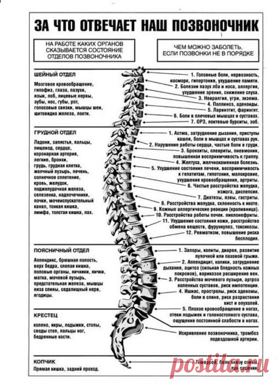 (90) Одноклассники