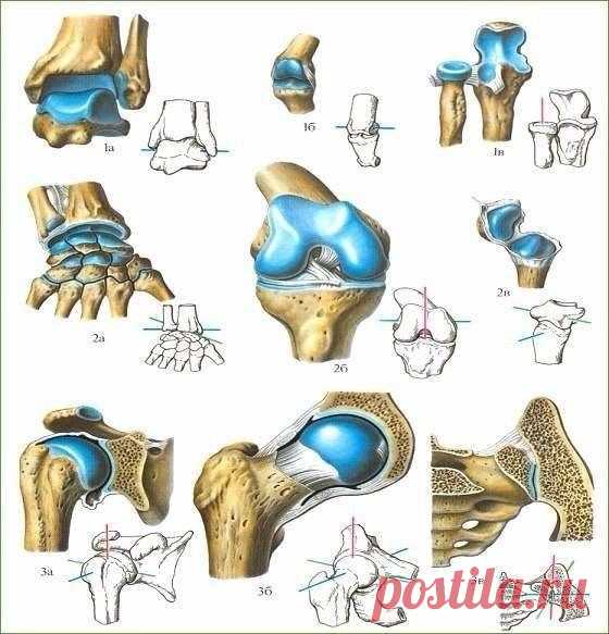 Про суставы