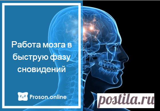 Только ли отдыхает мозг во сне – что происходит