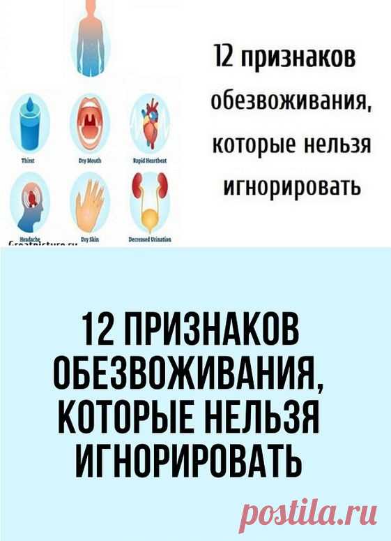 Как известно, человек на 80% состоит из воды, которая участвует во всех процессах жизнедеятельности организма. Человек теряет жидкость ежедневно – в результате потоотделения, дыхания, мочеиспускания, и недостаточное ее восполнение в силу разных причин может привести к обезвоживанию различной степени тяжести. Вовремя заметить признаки обезвоживания и устранить их – задача каждого, кто заботится о своем здоровье.