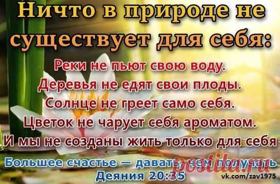 Мой Мир@Mail.Ru