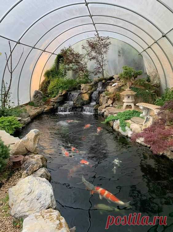 Dream Pond of Medium Investment #polytunnel #hoophouse #greenhouse #pond #koi #waterfall