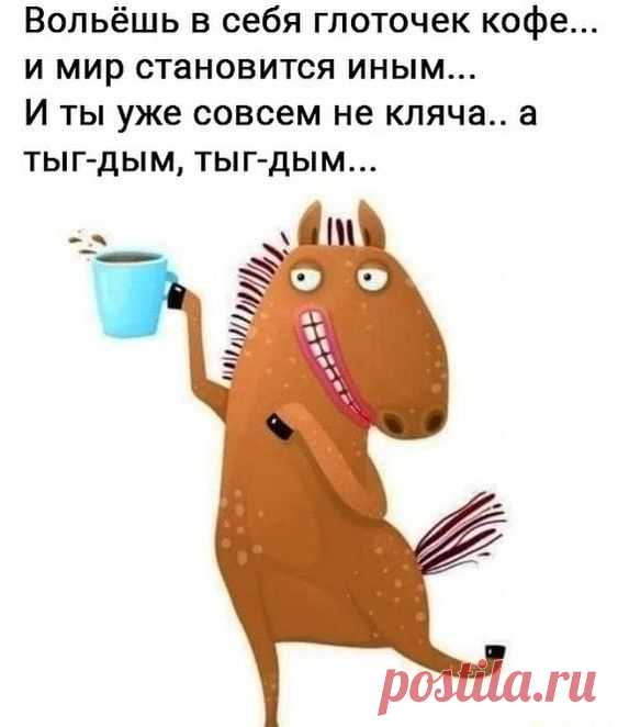 Вольёшь в себя глоточек кофе... и мир становится иным... И ты уже совсем не кляча.. а ТЫГ-ДЫМ, ТЫГ-ДЫМ... – популярные мемы на сайте idaprikol.ru