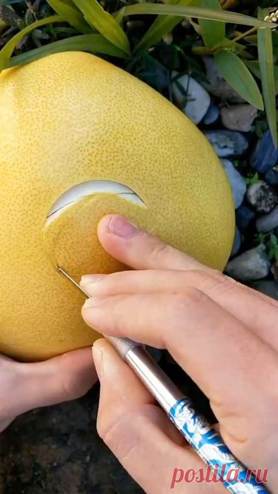 Fruit Carving Skills