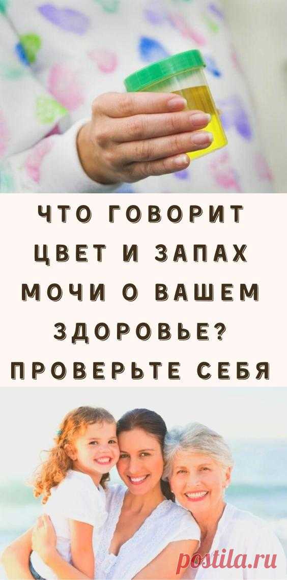 Что говорит цвет и запах мочи о вашем здоровье? Проверьте себя