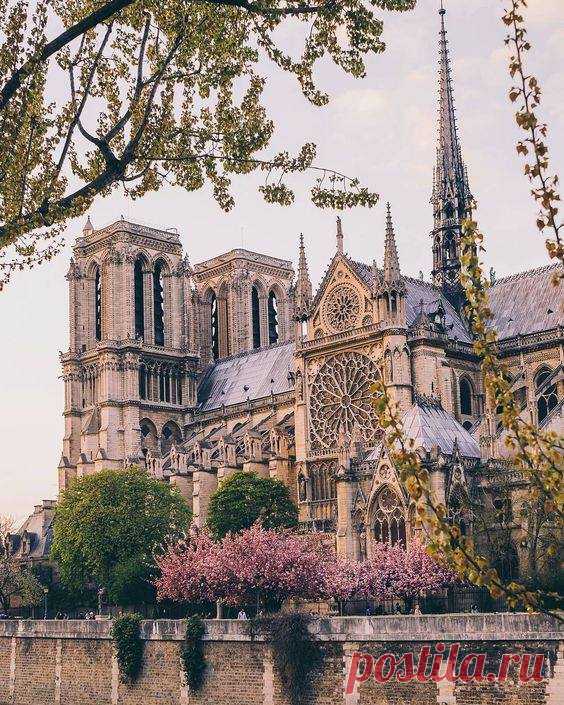 Notre Dame - Paris France