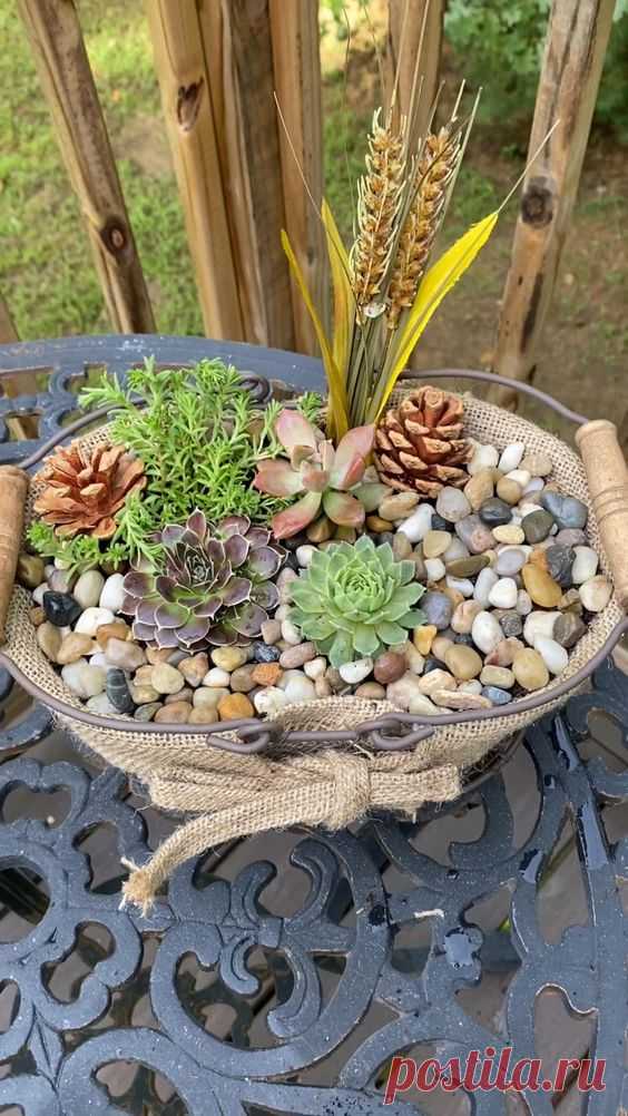 Fall Succulent Basket 🍂🧺
