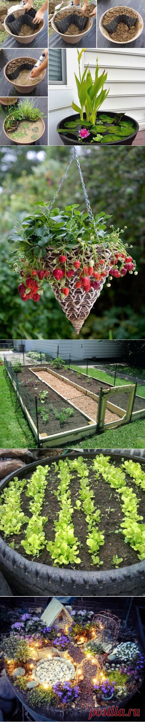 Замечательные идеи для сада и огорода