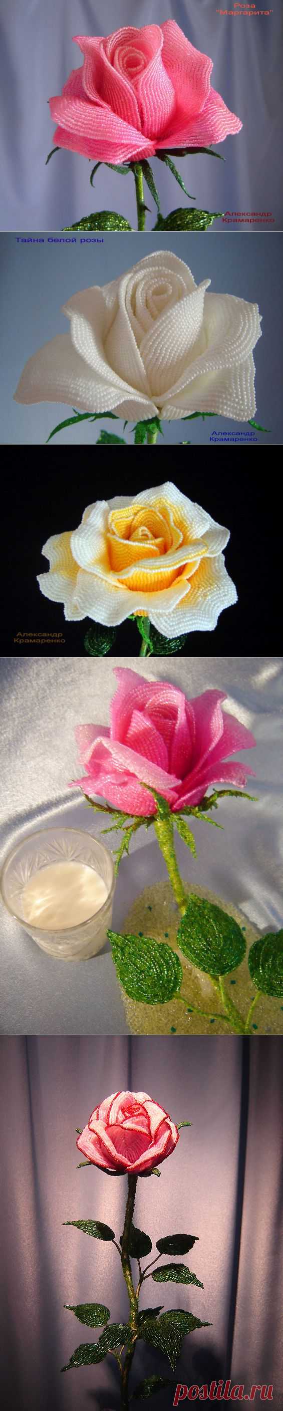 Прекрасные розы из бисера Александра Крамаренко + мастер-класс - Рукоделие