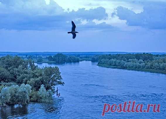 Зачем ты тревожишь подсохшие раны...