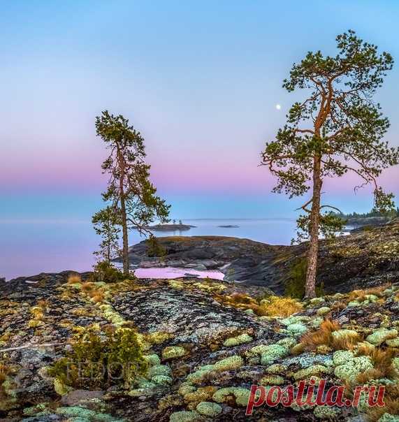 Белая ночь в нацпарке «Ладожские шхеры», Карелия. Автор фото – Федор Лашков: nat-geo.ru/community/user/27502/ Цветных снов.