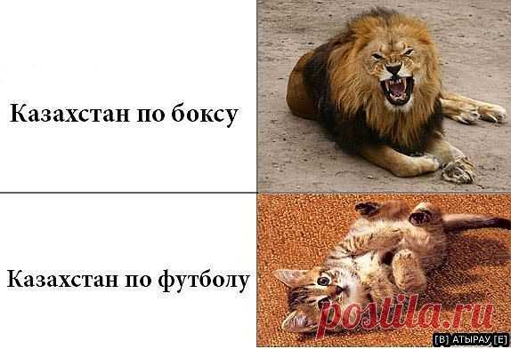 БОКС. Только БОКС.