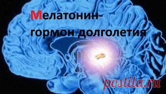 Как оставаться молодым? Продукты богатые гормоном молодости - мелатонина. | Идеальное тело | Яндекс Дзен