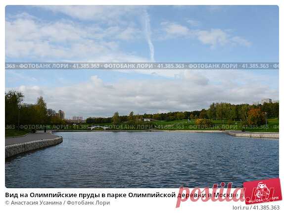 Вид на Олимпийские пруды в парке Олимпийской деревни в Москве ранней осенью (2016 год) Редакционное фото, фотограф Анастасия Усанина / Фотобанк Лори