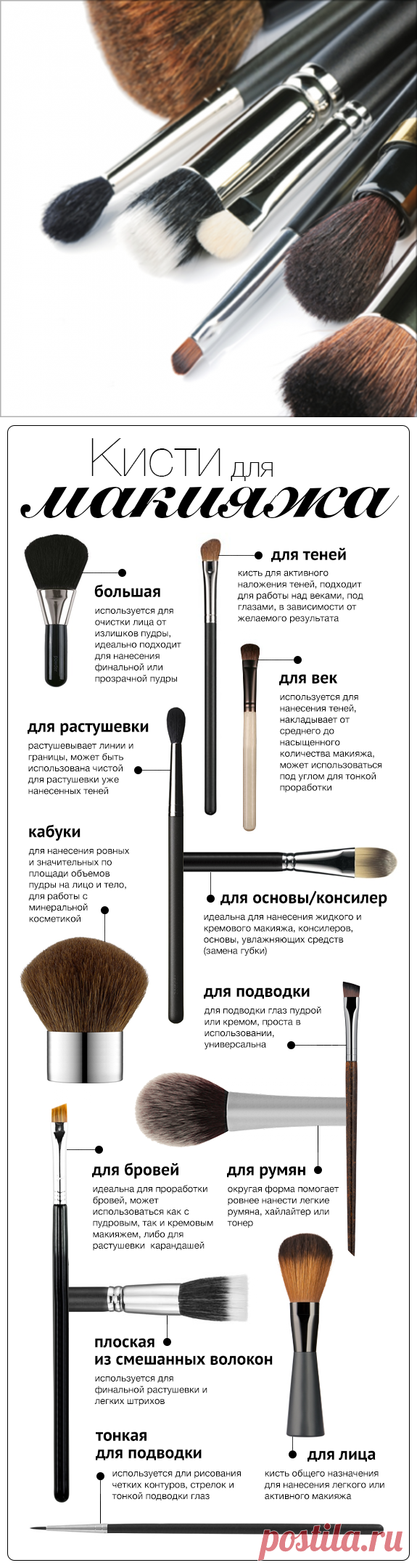 Инфографика: 12 кистей для макияжа - Я Покупаю