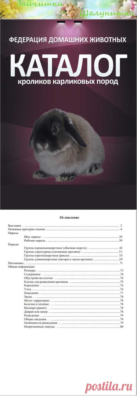 Каталог пород карликовых кроликов - Форум