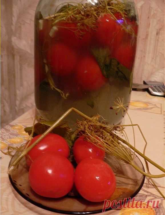 Засолка помидоров холодным способом!!! Быстро, без кипячения, а главное очень вкусно!!!