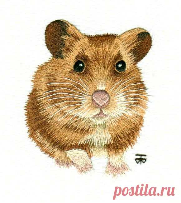 Hamster Работа в картинках Прогресс: Needle Живопись Ручная вышивка, рука вышивки как альтернатива вышивки крестом.