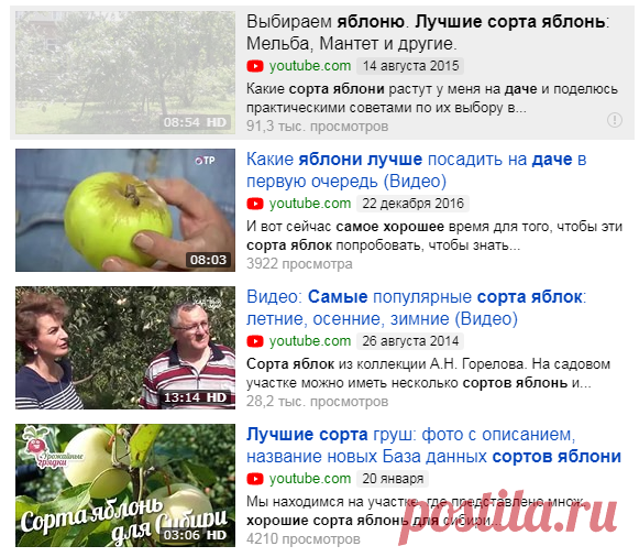 Выбираем яблоню. Лучшие сорта яблонь: Мельба, Мантет и другие. — Яндекс.Видео