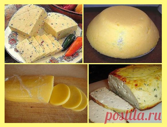 5 рецептов домашнего сыра...