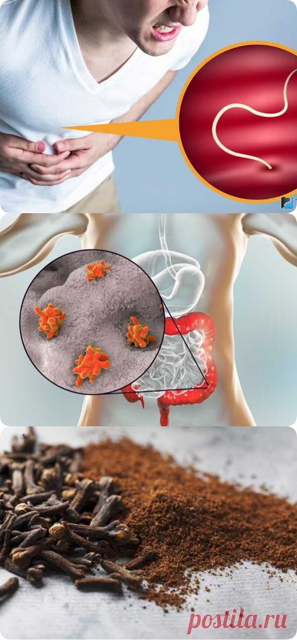 Как избавиться от глистов быстро и эффективно. Очищение организма от паразитов. Очищаемся от паразитов!. Антипаразитарное очищение.